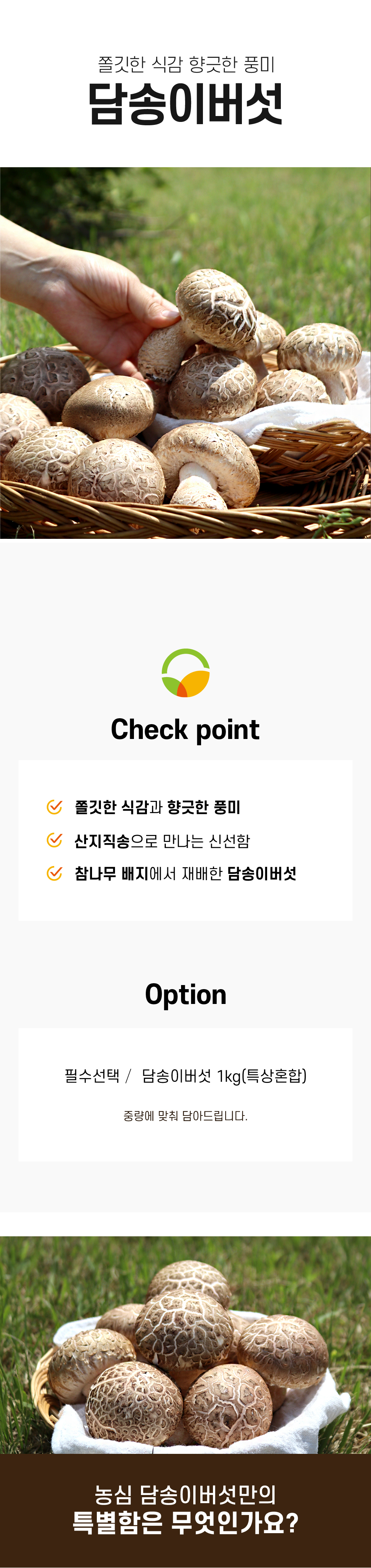 editor이미지