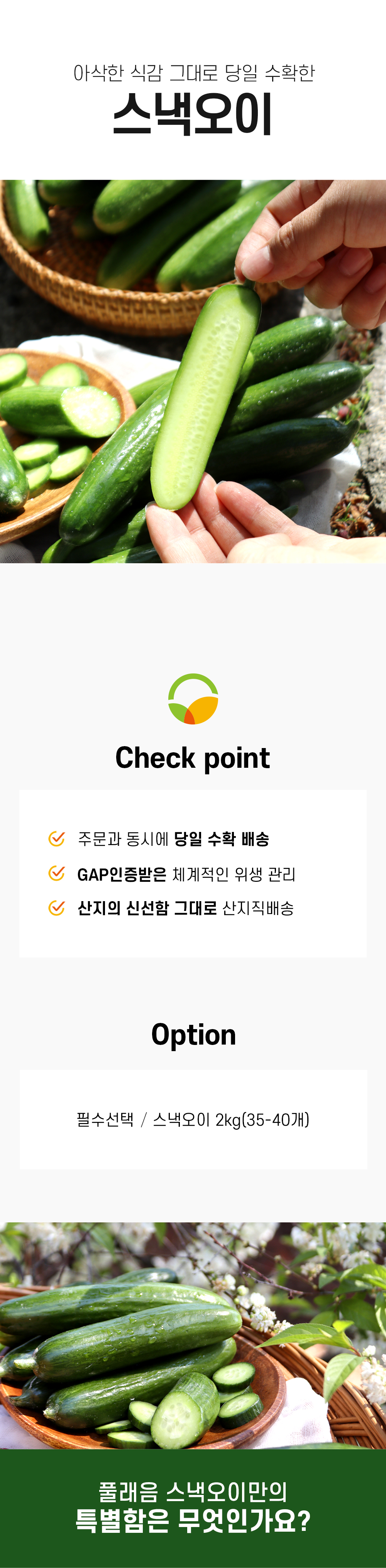 editor이미지