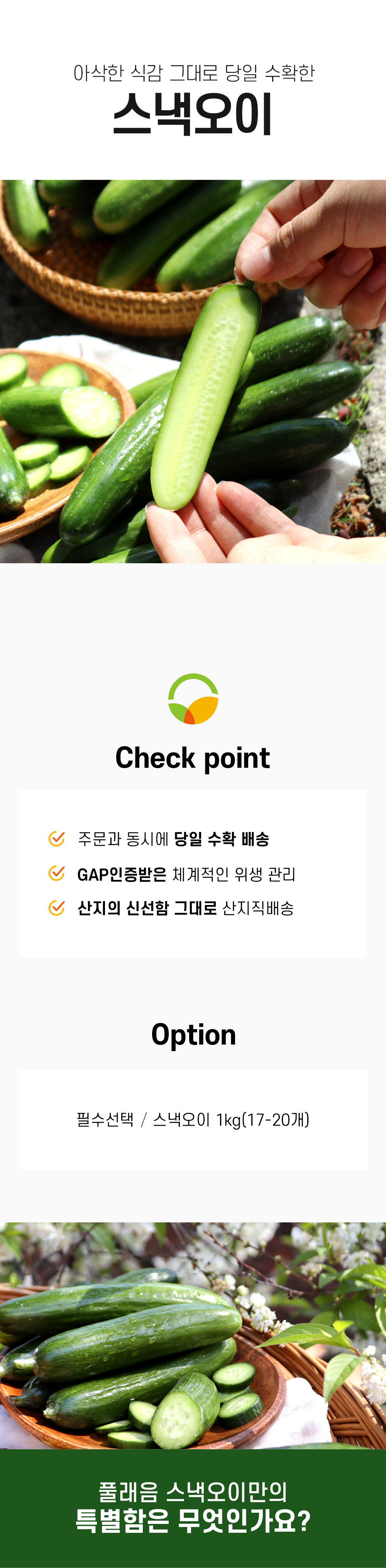 editor이미지