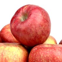 [보람농원] 껍질채먹는 사과 로얄부사 5kg_2