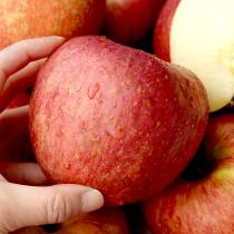 [보람농원] 껍질채먹는 사과 로얄부사 10kg_1