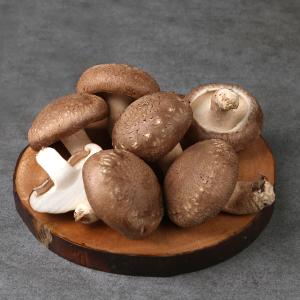 [한그루] 국내산 유기농 표고버섯(가정용) 1kg