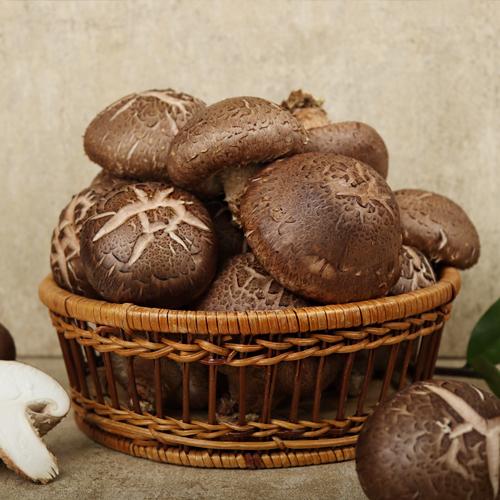 [화담표고버섯] 무농약 생표고버섯(상) 1kg/2kg_1