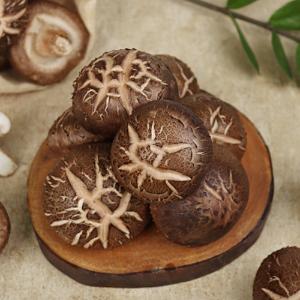 [화담표고버섯] 무농약 생표고버섯(상,선물세트) 1kg/2kg