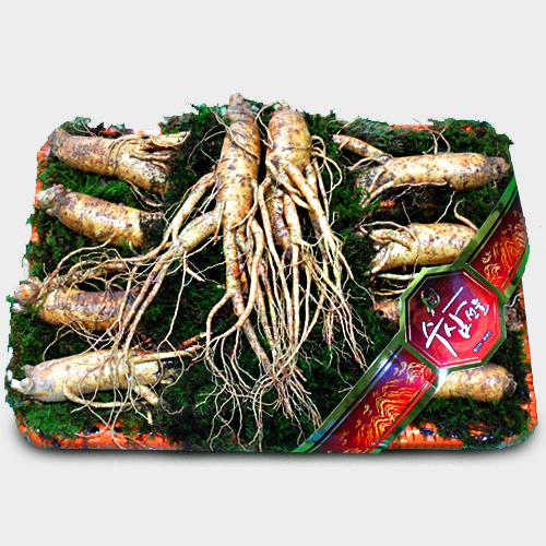 [백야홍삼] 5년근 음성수삼 특명품 1호(1.1kg/9뿌리)