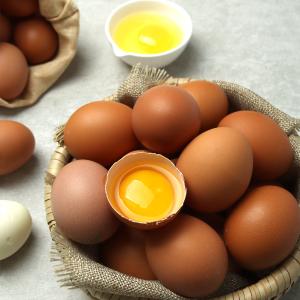 [삼원에그팜] 신선한 계란 (90알)