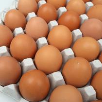 [삼원에그팜] 신선한 계란 (90알)_2