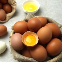[삼원에그팜] 신선한 계란 (90알)