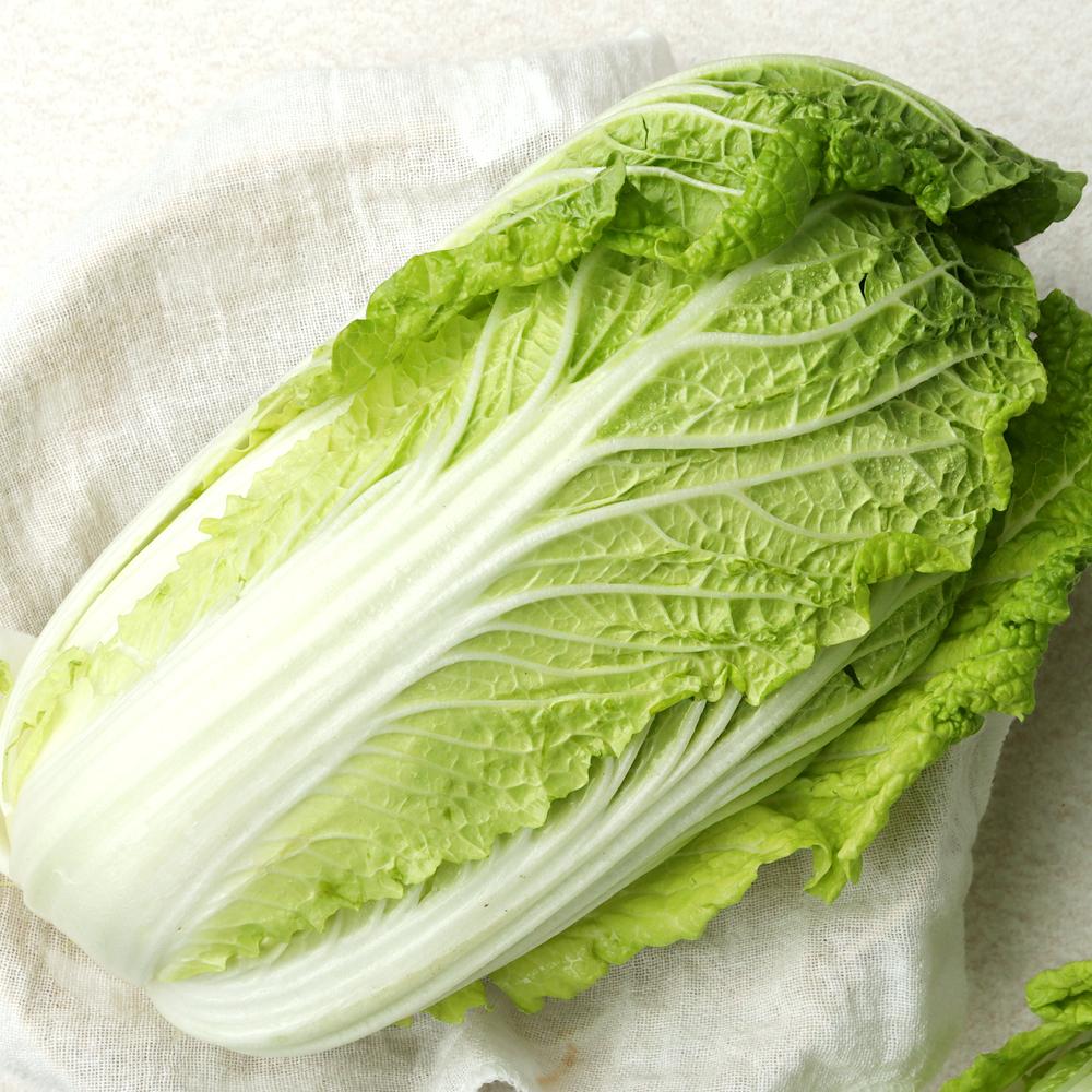 [풀래음] GAP 인증 알배기배추 4kg/8kg_1