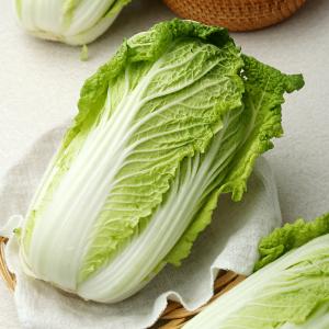 [풀래음] GAP 인증 알배기배추 4kg/8kg