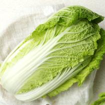 [풀래음] GAP 인증 알배기배추 4kg/8kg_1