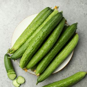 [풀래음] GAP 인증 백다다기오이 3kg/5kg/10kg