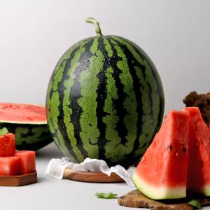 [맹동농협] 당도선별 다올찬 맹동수박 5kg-10kg