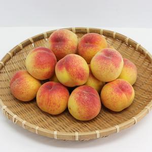 [감곡이레농원] 달콤한 황도복숭아 4kg(17-18과)