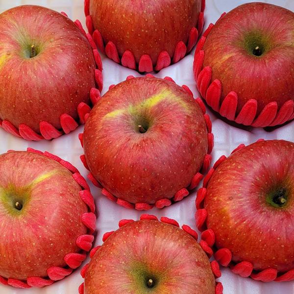 [은혜사과농장] 아삭아삭한 부사사과 10kg_1