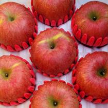 [은혜사과농장] 아삭아삭한 부사사과 10kg_1