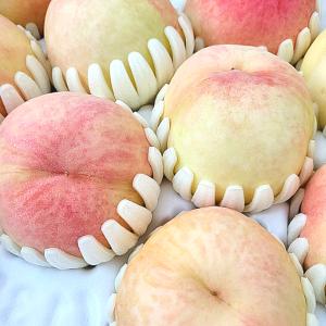 [보네농장] 달콤하고 향긋한 백도복숭아(말랑이) 4kg(14-16과)