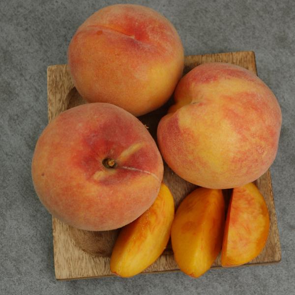 [감곡이레농원] 달콤한 황도복숭아 4kg(14-16과)