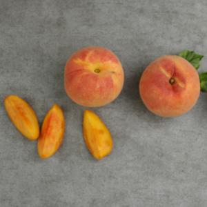 [감곡이레농원] 달콤한 황도복숭아 4kg(12-13과)