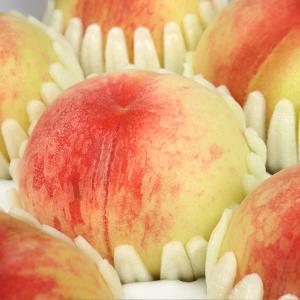 [감우재농원] 입안 가득 달콤한 황도 4kg(17-18과)