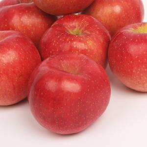 [은혜사과농장] 달콤한 홍로사과 10kg(46-48과/40-44과/36-38과)