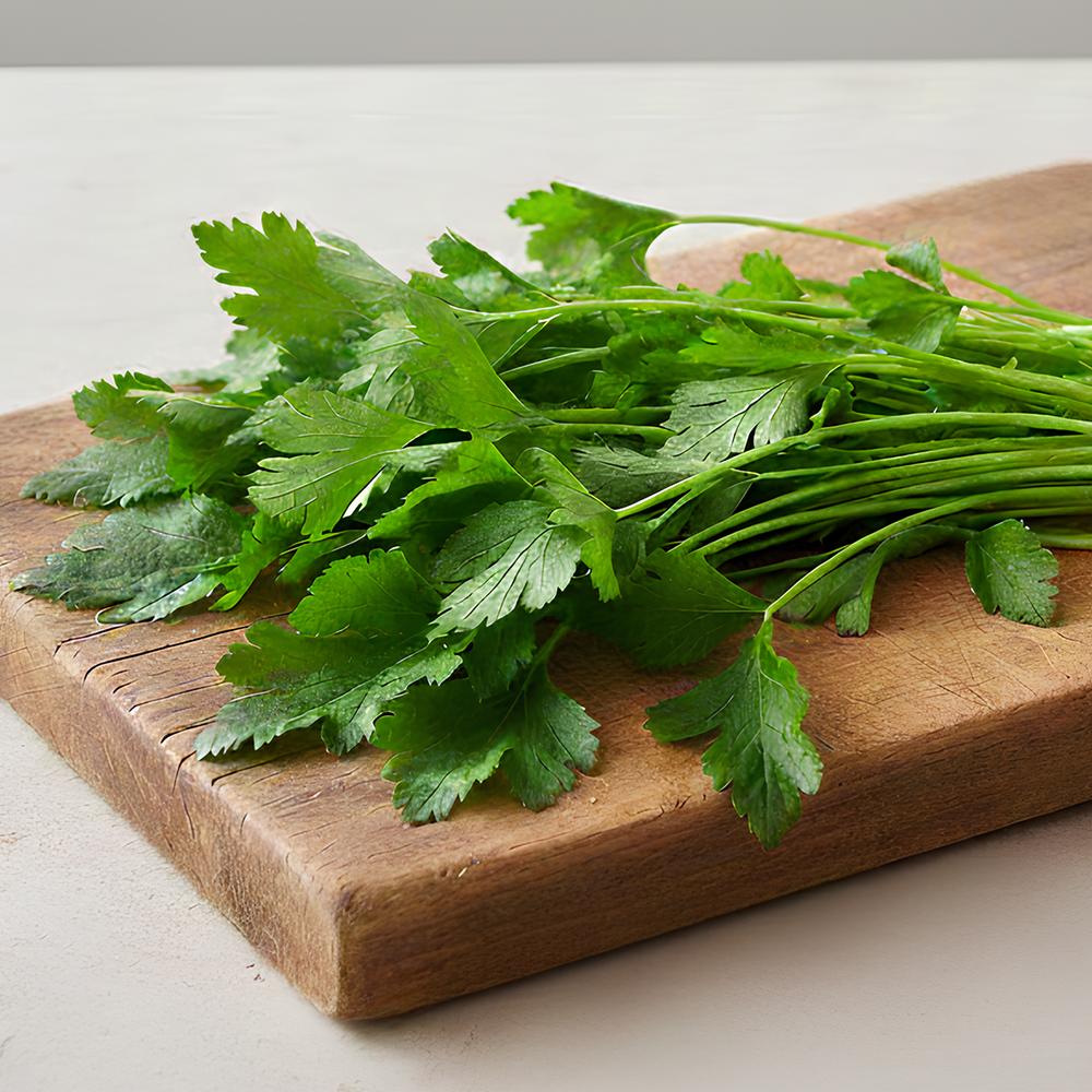 [풀래음] 아삭아삭 향긋한 GAP 참나물 1kg/2kg/4kg