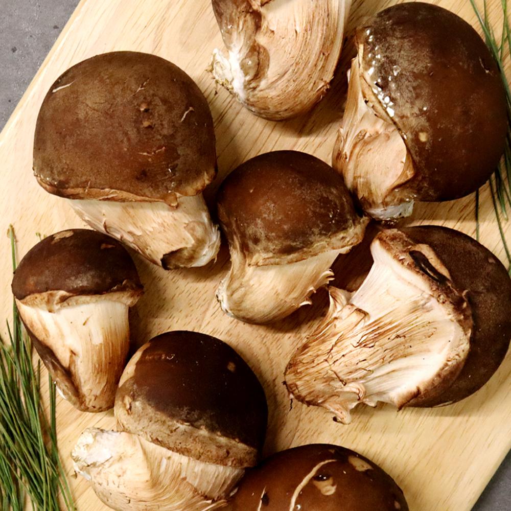 [감우재농원] 쫄깃하고 향이 좋은 참송이버섯 선물용 800g_1