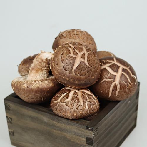 [화담표고버섯] 생표고버섯 1kg/2kg (선물 포장)_3