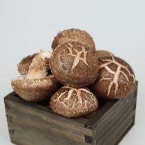 [화담표고버섯] 생표고버섯 1kg/2kg (선물 포장)_3