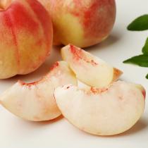 [새미농원] 햇사레 딱딱이 백도 복숭아 3kg 대과(10과내)