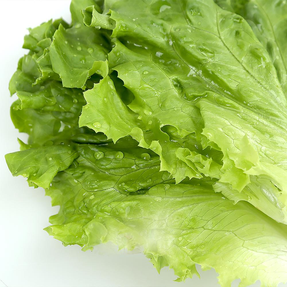 [풀래음] 아삭한 GAP 로메인 1kg/2kg_1